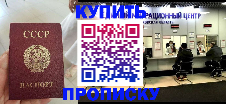 временная регистрация адрес в Опочке